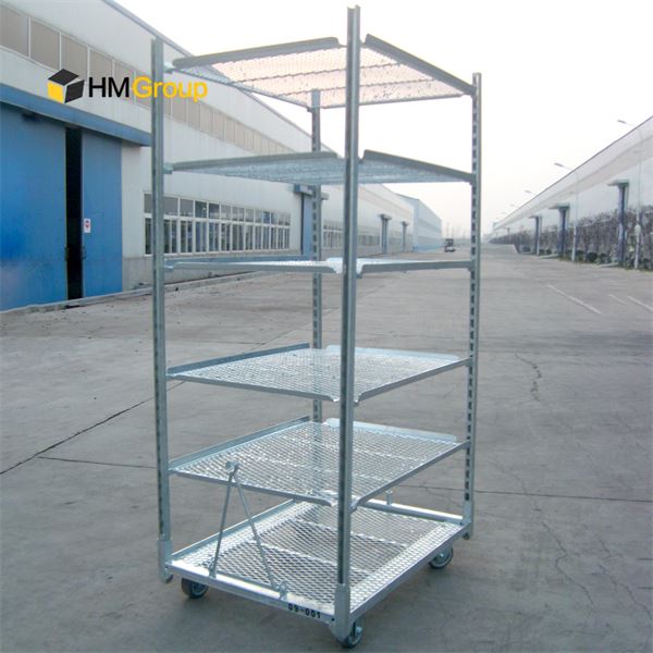 Dutch Trolly
